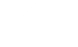 Logo Branca 2